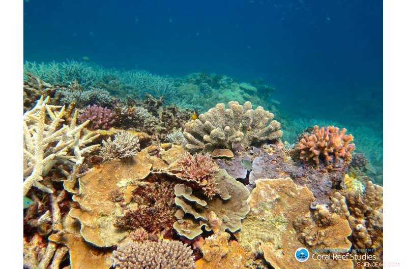 Why Wilderness Matters: Its Moral Value Explained