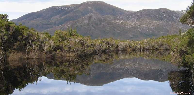 Why Wilderness Matters: Its Moral Value Explained