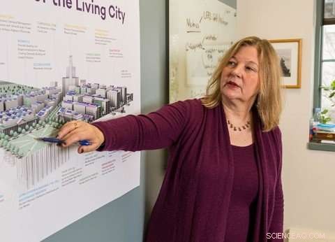 Building Resilient Urban Water Networks for Climate Adaptation