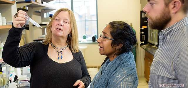 Building Resilient Urban Water Networks for Climate Adaptation