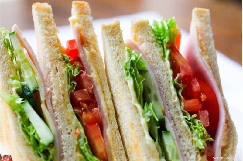 Does Your Sandwich Harm the Environment? Exploring the Carbon Footprint