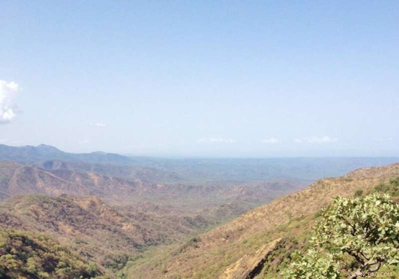 Ethiopia May Hold One of the World s Largest Untapped Gold Deposits