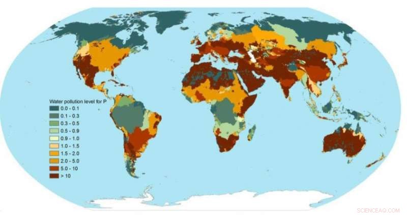 Global Phosphorus Pollution Threatens Freshwater: New Study Reveals Dangerous Levels