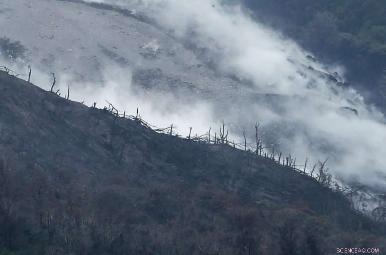 Philippine Farmers Tread Through Ash to Protect Livestock Amid Mount Mayon Eruption