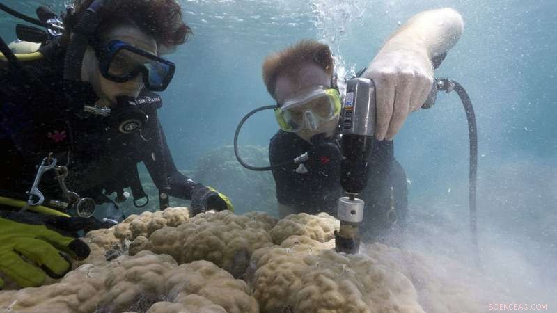New Study Reveals How Ocean Acidification Undermines Coral Skeleton Strength