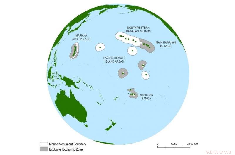 Why Scientists Must Share Coral Reef Data to Safeguard Habitats