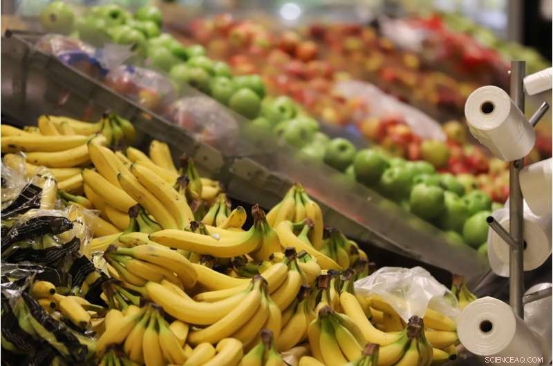 Bananas: A Leading Contributor to Food Waste in Retail