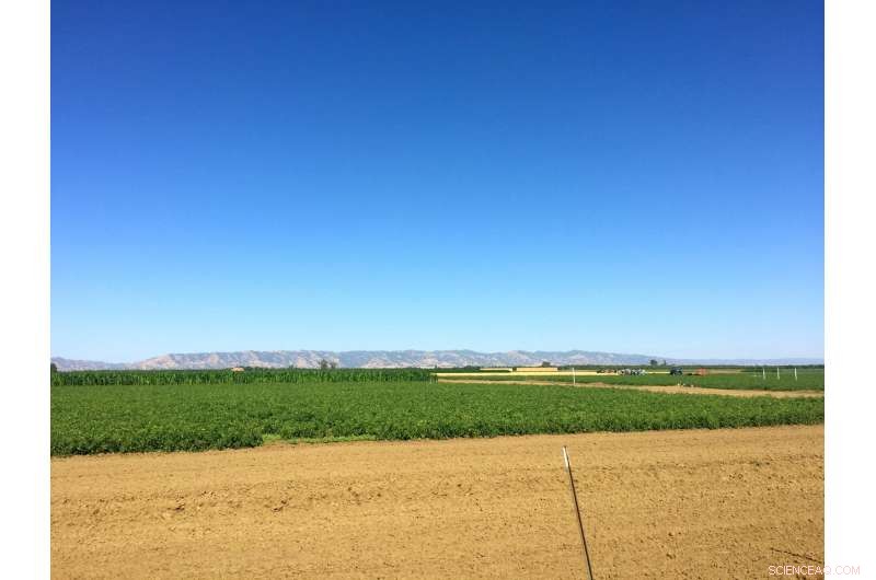 Central Valley Soil Emits 40% of California’s Nitrogen Oxide Pollution