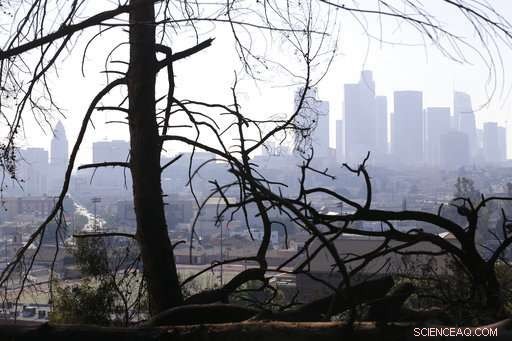 Southern California Faces Intensifying Drought Crisis