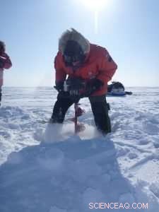 Arctic Lakes Emit Greenhouse Gases from Young Carbon, New Study Finds