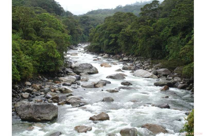 New Study Reveals Hydroelectric Dams Severely Affect Amazon Basin Ecosystems