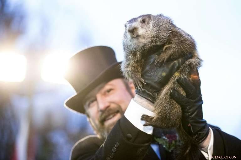 Groundhog Day Forecast: Six Additional Weeks of Winter Expected, Says Phil the Groundhog