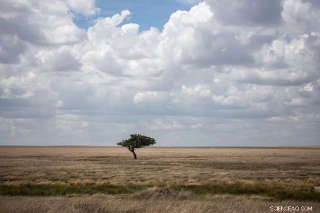 How Climate Change Shaped Human Evolution