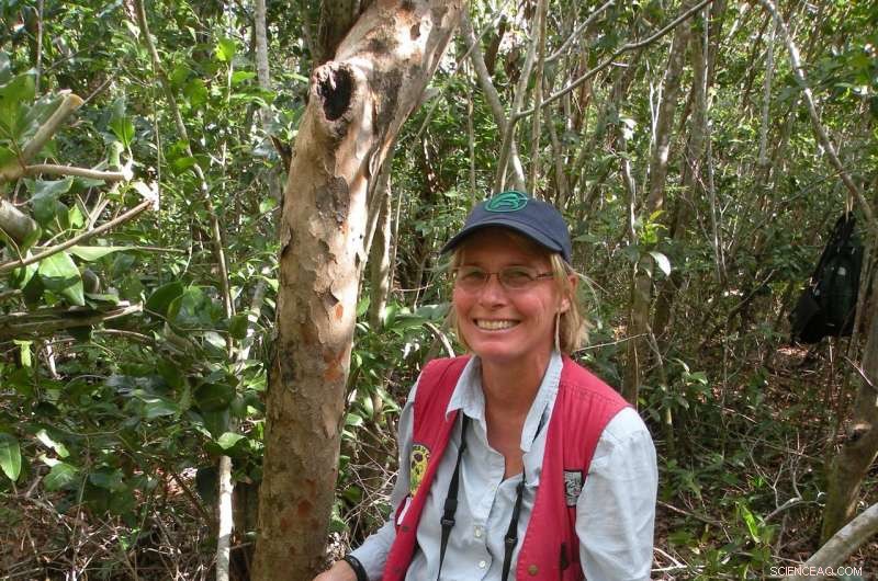Charting the First Comprehensive Family Tree of Tropical Forests