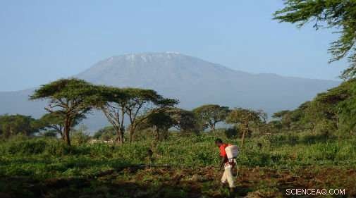 Climate Change Accelerates Land Transformation in East African Savannahs, Study Finds