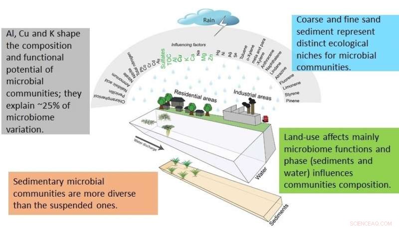 Optimizing Urban Waterway Health: Linking Microbial Ecology & Design for Clean, Bloom‑Free Rivers