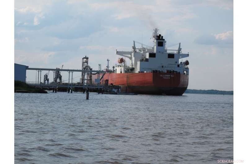 Cleaner Ship Fuels Could Cut Global Childhood Asthma by 3.6% – Study Reveals