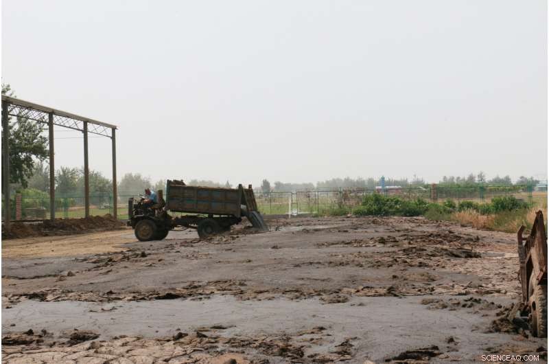 China Must Make Milk Production Greener to Meet Rising Demand