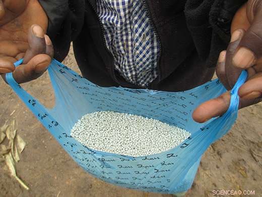 Phosphate Rock: A Powerful, Affordable Fertilizer Boosting Kenyan Agriculture