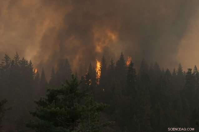 Scientists Confirm Climate Change Drives Surge in Wildfires