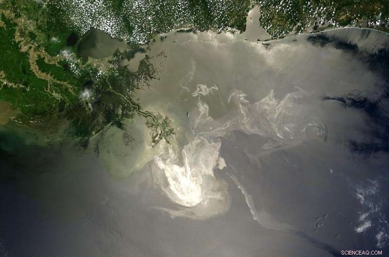 Oil‑loving Microbes Offer Promising Solution to Clean Up Oil Spills