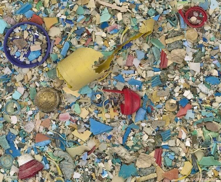 International Plastics Treaty Aims to Safeguard Oceans from a Silent Spring