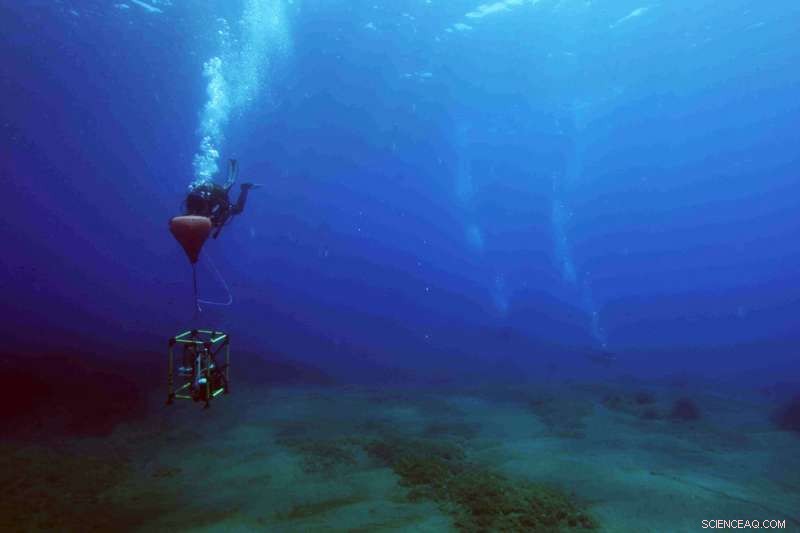 Assessing the Impact of CO₂ Leakage on Seabed Integrity