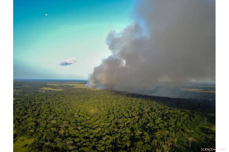 Savanna Fires Deliver Nitrogen to Congo Basin Forests