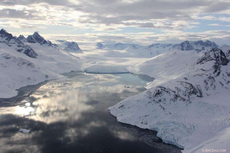Groundbreaking Research Unveils the Secret Lives of Narwhals