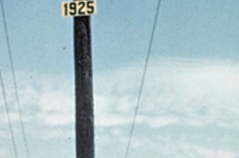 Groundwater: Our Most Crucial Water Source—Discover Why