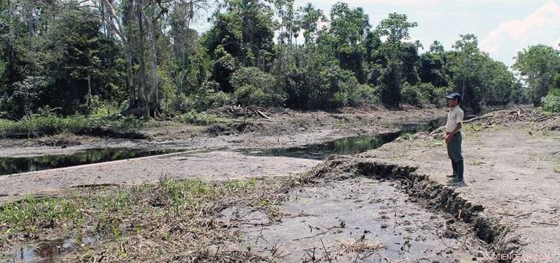 Health‑Threatening Metals Detected in Amazonian Indigenous Communities After Oil Spill