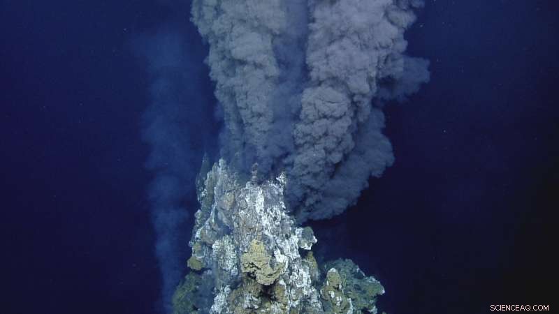 Deep-Sea Fish Harness Hydrothermal Vents to Incubate Eggs