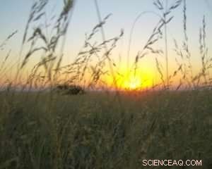 Introducing a Groundbreaking Model to Assess Rangeland Ecosystems