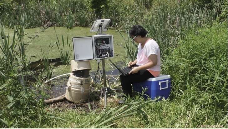 Estrogen Contamination in Vernal Pools: A Growing Environmental Threat