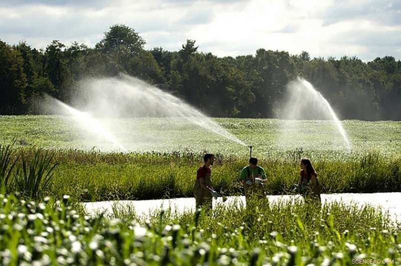 Estrogen Contamination in Vernal Pools: A Growing Environmental Threat