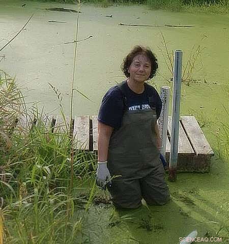 Estrogen Contamination in Vernal Pools: A Growing Environmental Threat