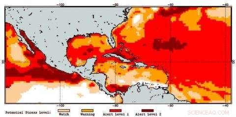 Satellite Monitoring Protects Coral Reef Health and Beauty