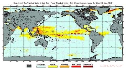 Satellite Monitoring Protects Coral Reef Health and Beauty