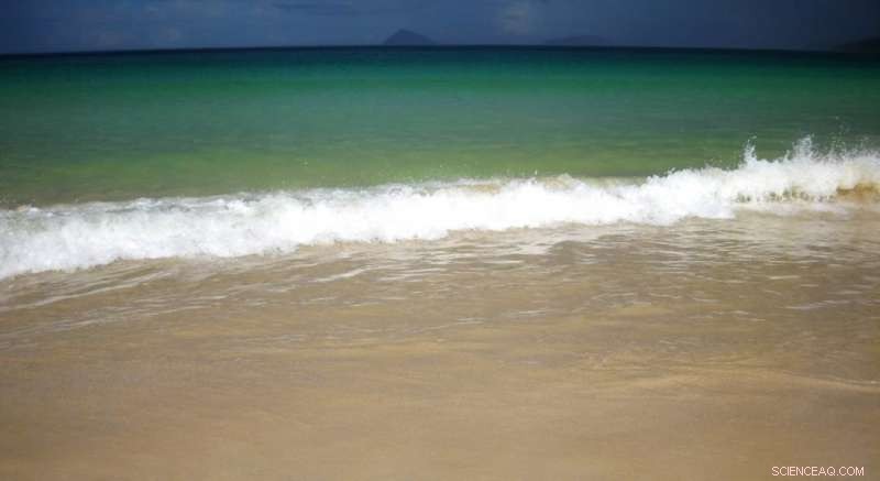 Pacific Oceanographers Unveil How Phytoplankton Thrive in Iron‑Poor Waters