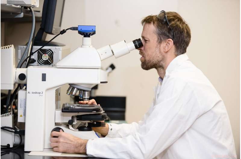 New Study Reveals Wind s Crucial Role in Predicting Climate Change