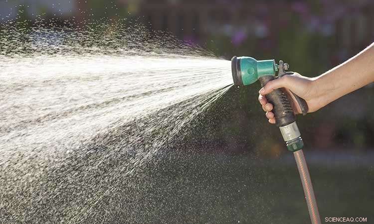 Florida Residents Willing to Pay $18 a Year to Protect the Everglades: Key Findings