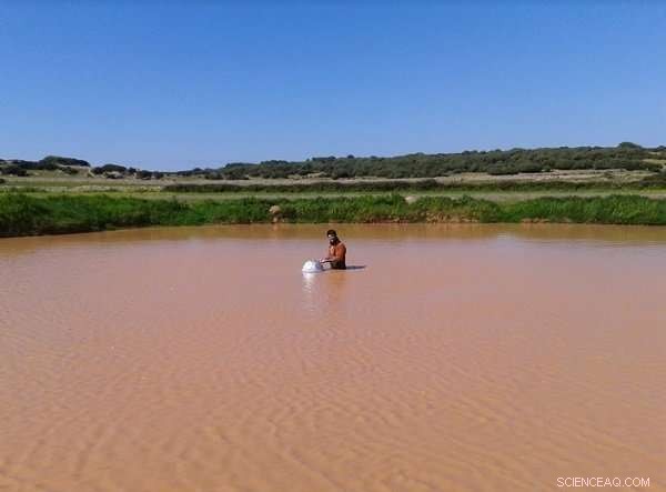 Dry Temporary Ponds Still Emit CO₂, New Study Shows