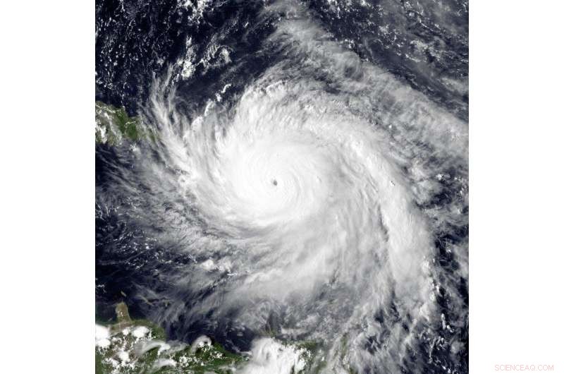 Irma & Maria Hurricanes Disrupt Acoustic Activity of Land and Marine Animals