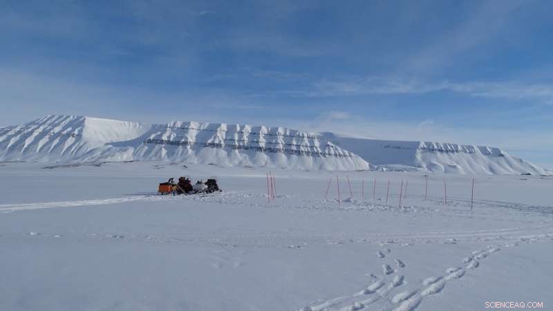 Predicting Oil Spill Dynamics in Arctic Sea Ice