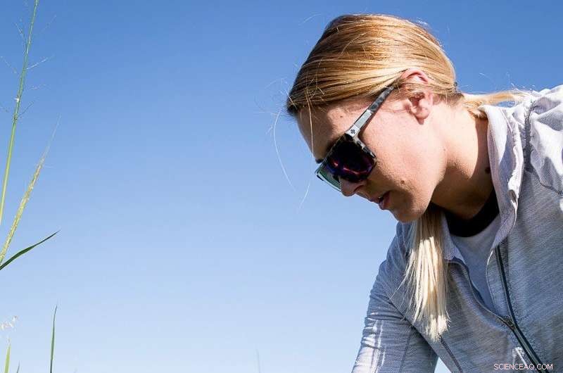 New Study Reveals Microplastics in Lake Winnipeg Fish, Raising Environmental Concerns