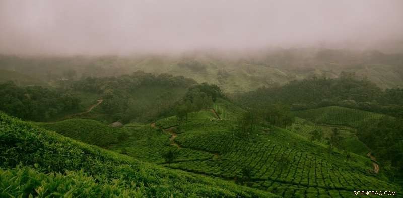 How India Can Safeguard Farmers Against Climate Change: 5 Essential Strategies