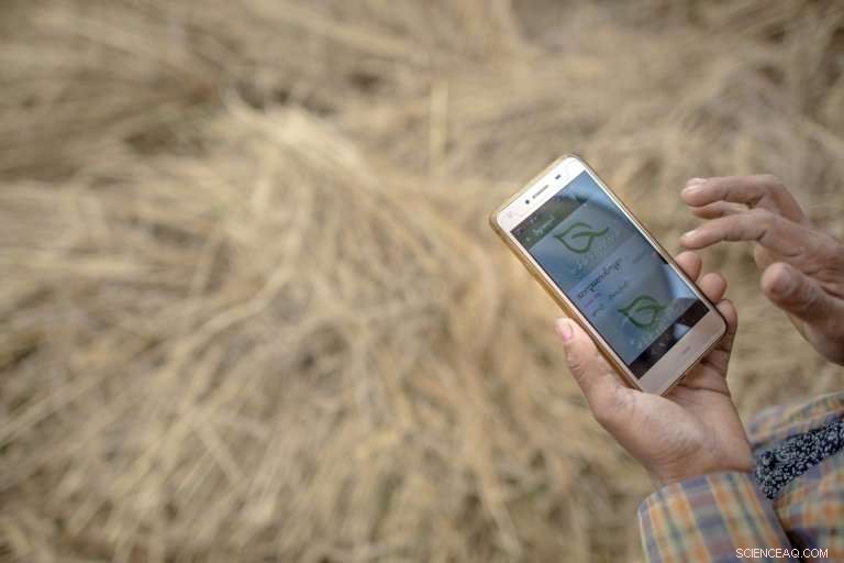 Myanmar Farmers Harness Smartphone Apps to Revolutionize Agriculture