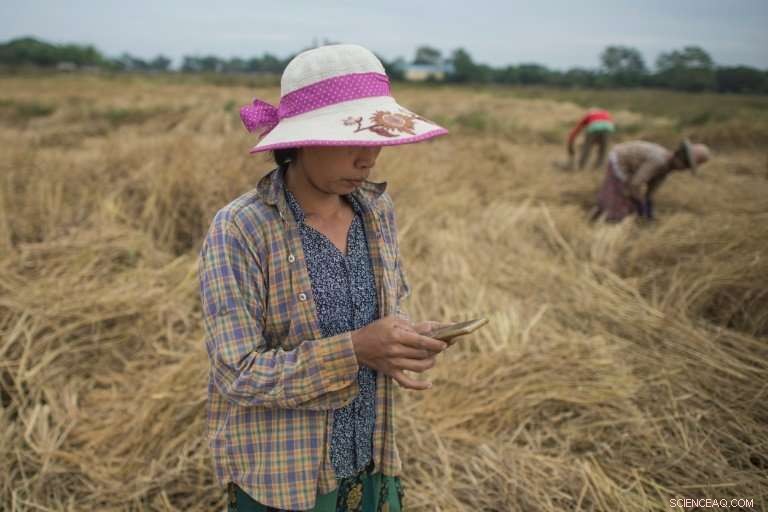 Myanmar Farmers Harness Smartphone Apps to Revolutionize Agriculture