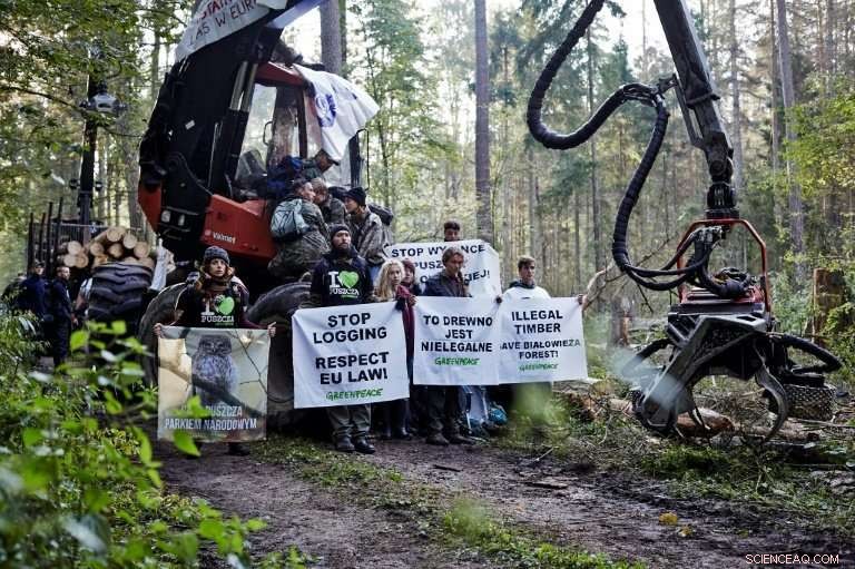 EU Court Advisor: Poland Violates Law by Logging in Europe s Last Primeval Forest
