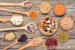 Switching to Plant-Based Protein: A Dual Solution for Climate Change and Hunger